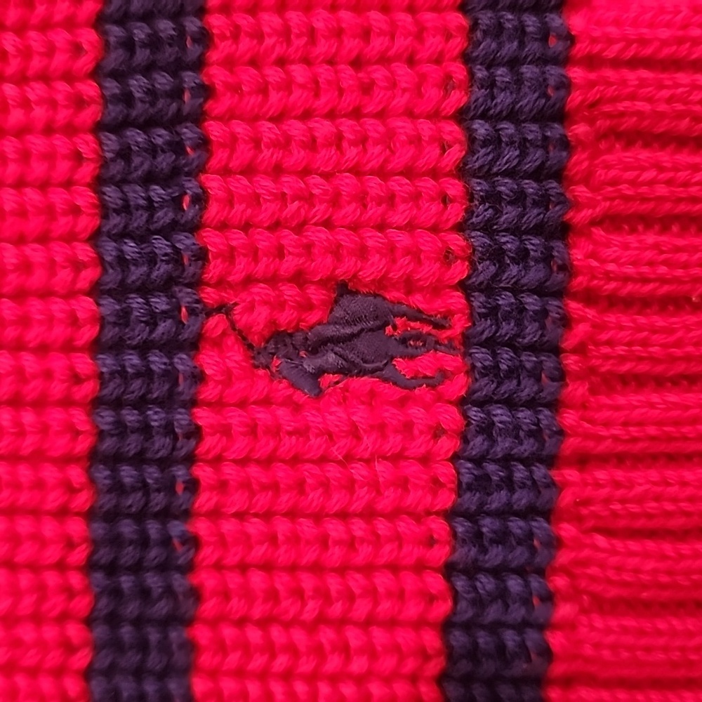 Polo Ralph Lauren Kids 8-20 Red And Blue Knit Preppy Scarf NWT - Picture 2 of 6
